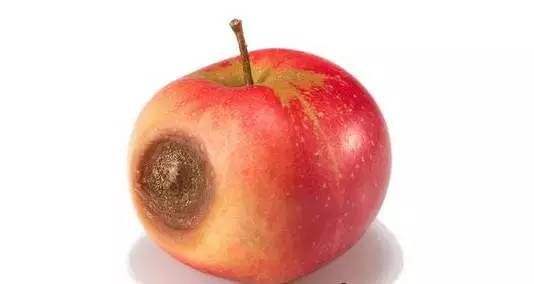 烂水果都去哪里了?有超市,水果摊竟是这么干的